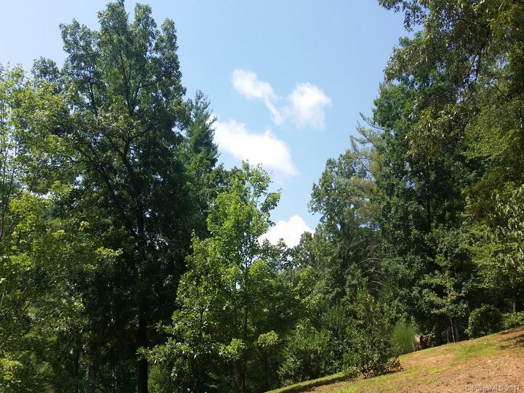 63 Farm Valley Court Weaverville NC 28787