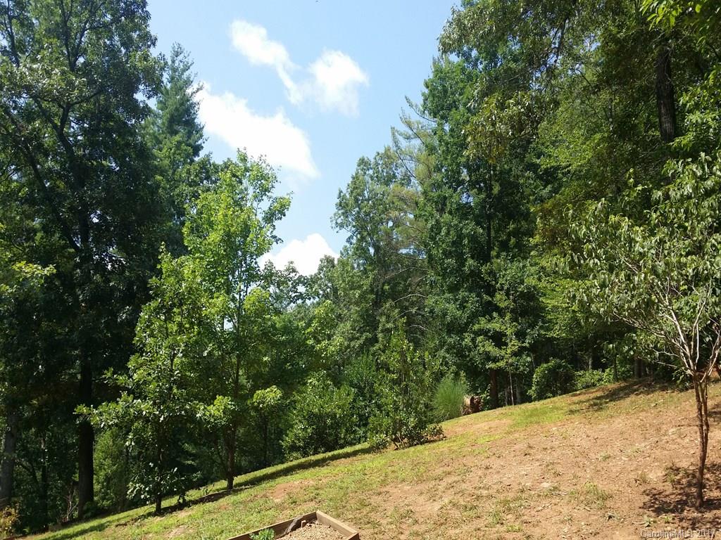 63 Farm Valley Court Weaverville NC 28787