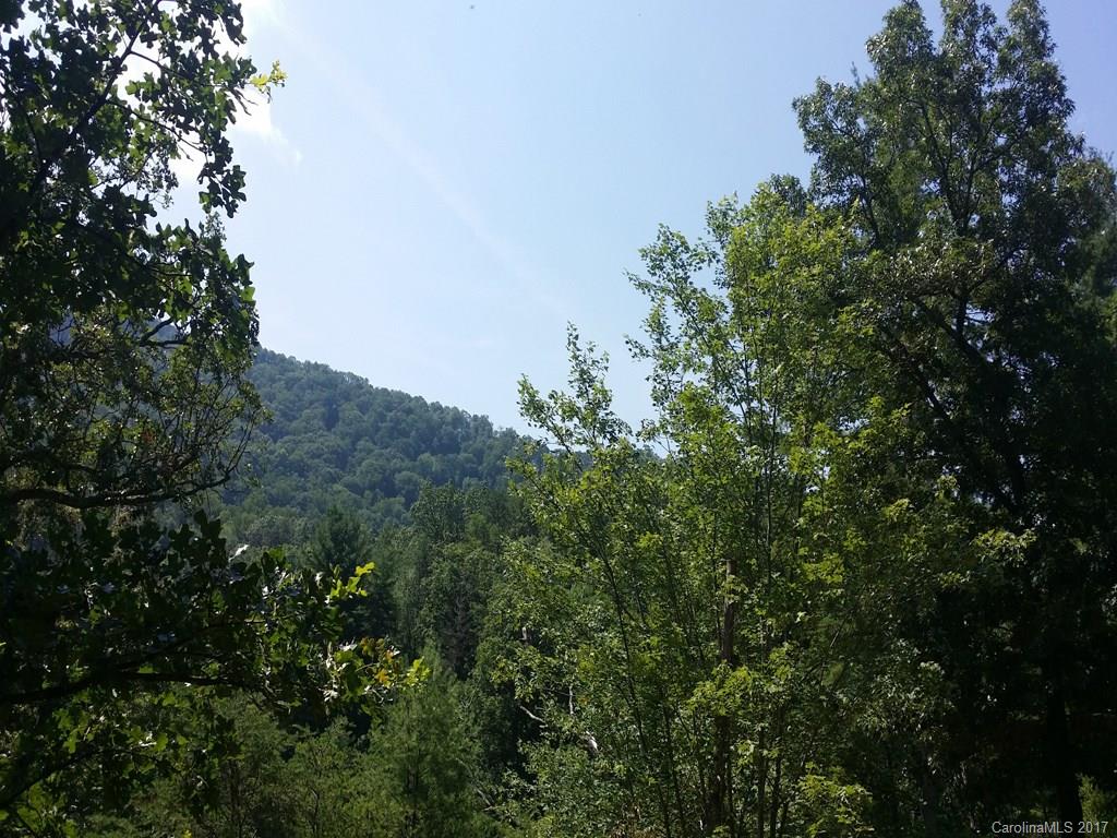 63 Farm Valley Court Weaverville NC 28787