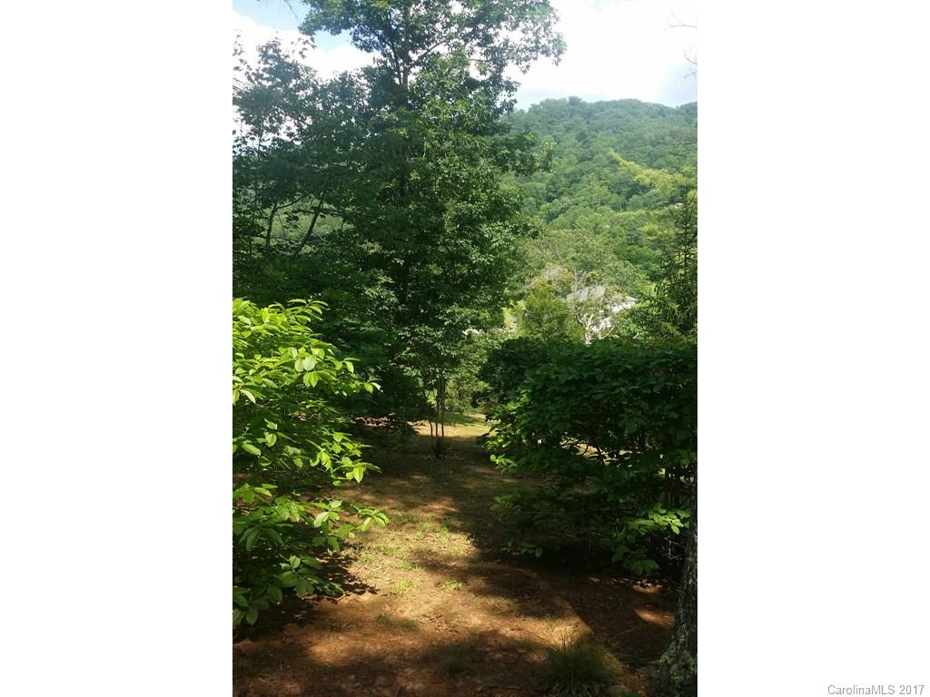 63 Farm Valley Court Weaverville NC 28787