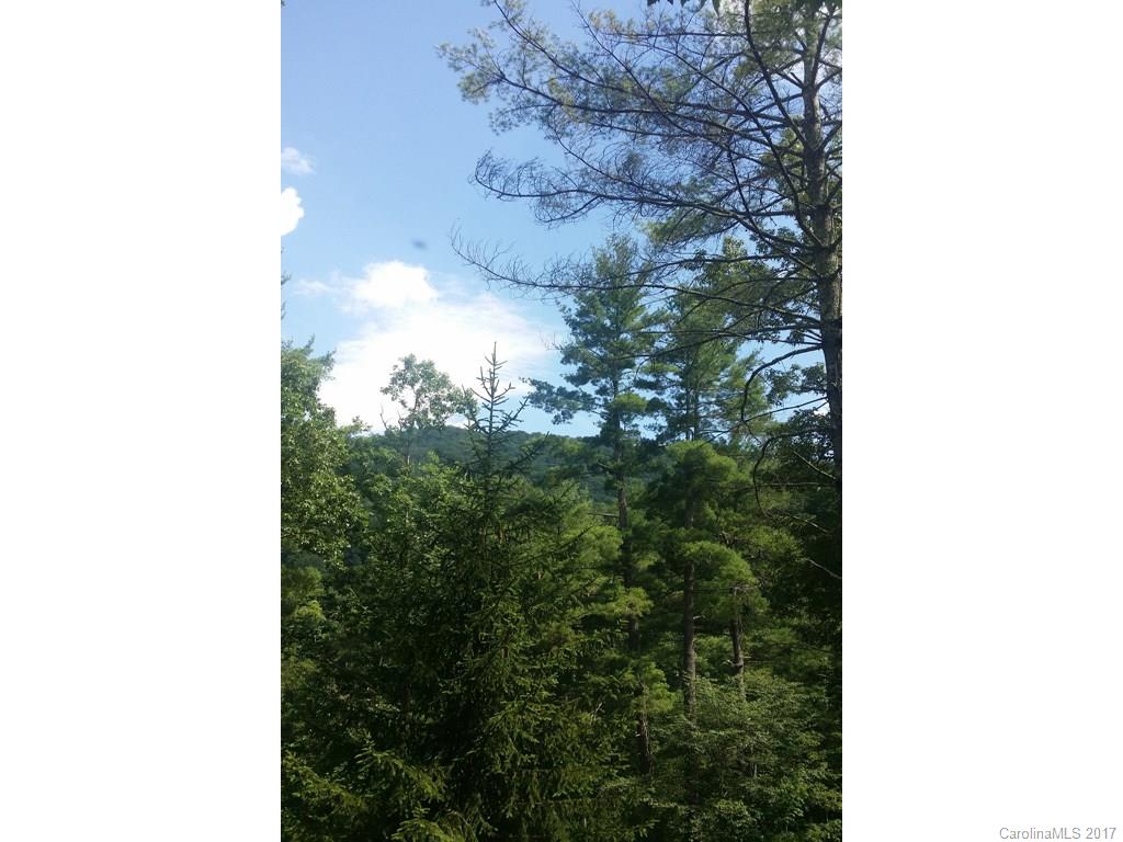63 Farm Valley Court Weaverville NC 28787