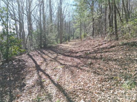 49 Reeds Creek Road Fairview NC 28730