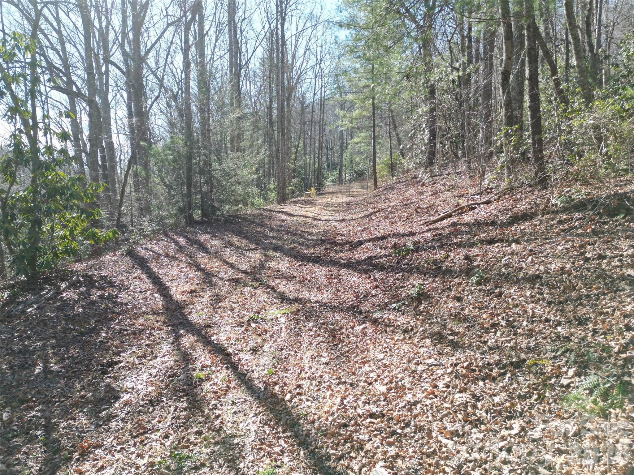 49 Reeds Creek Road Fairview NC 28730