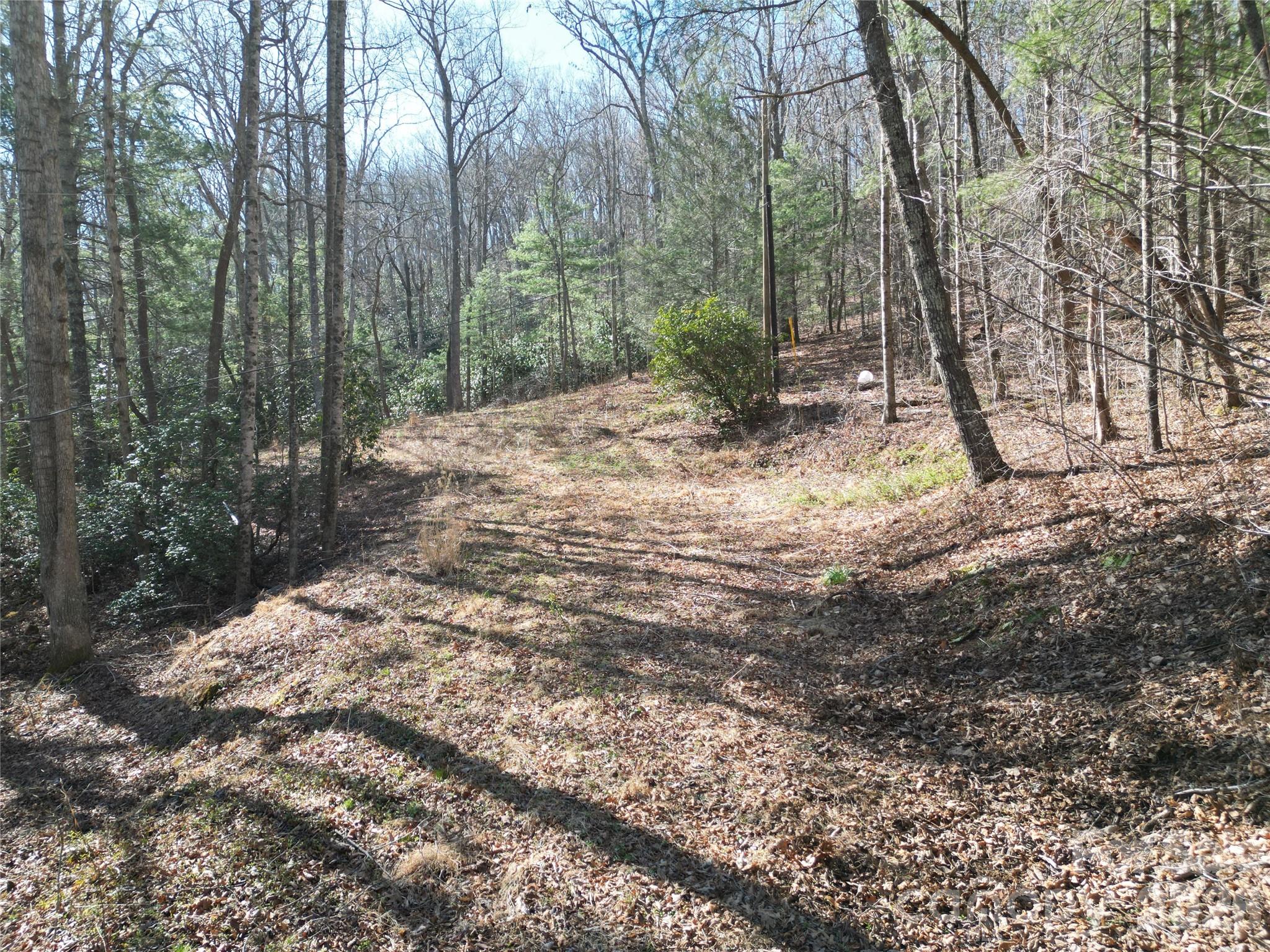 49 Reeds Creek Road Fairview NC 28730