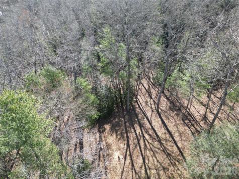 49 Reeds Creek Road Fairview NC 28730