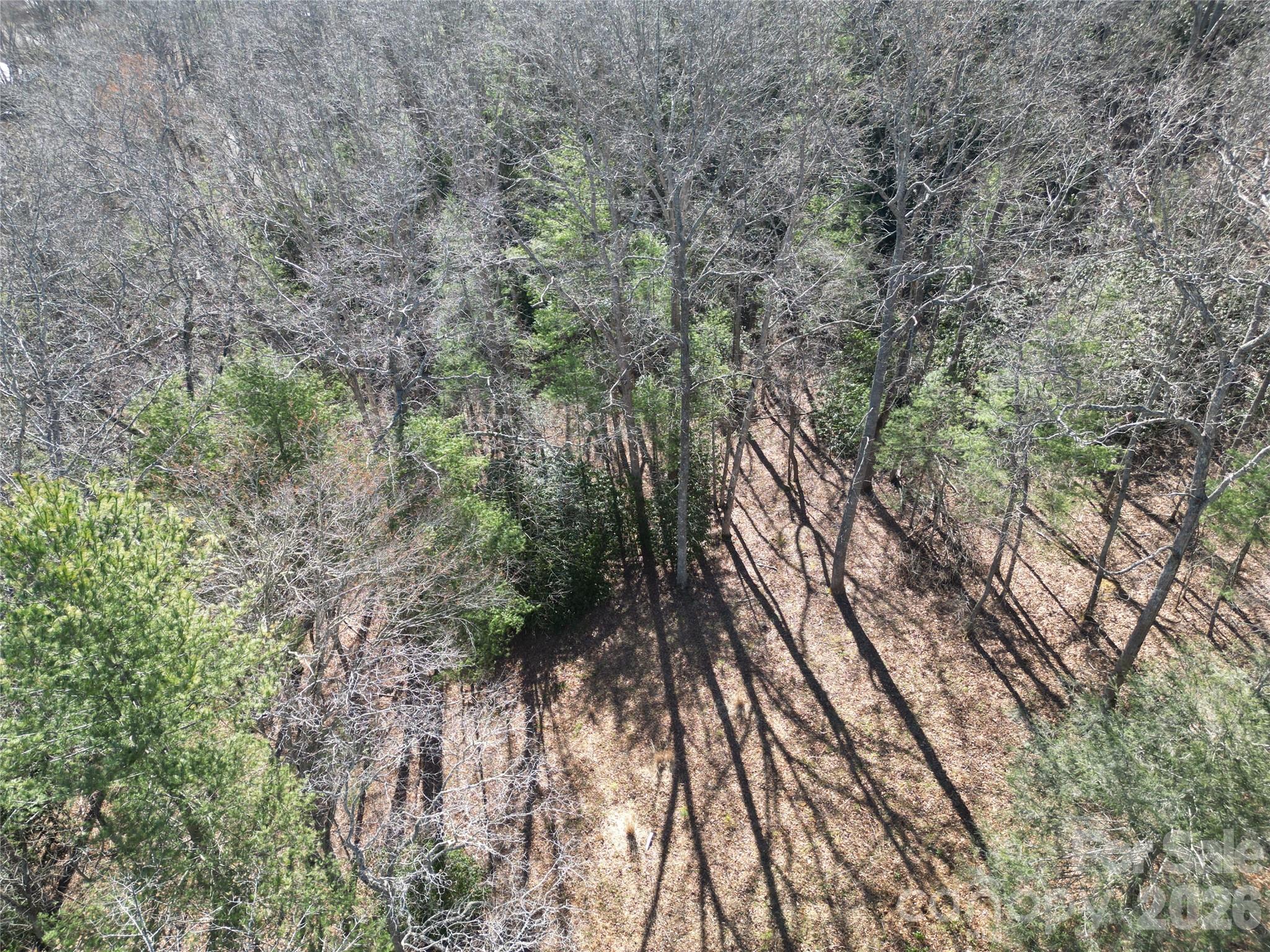 49 Reeds Creek Road Fairview NC 28730