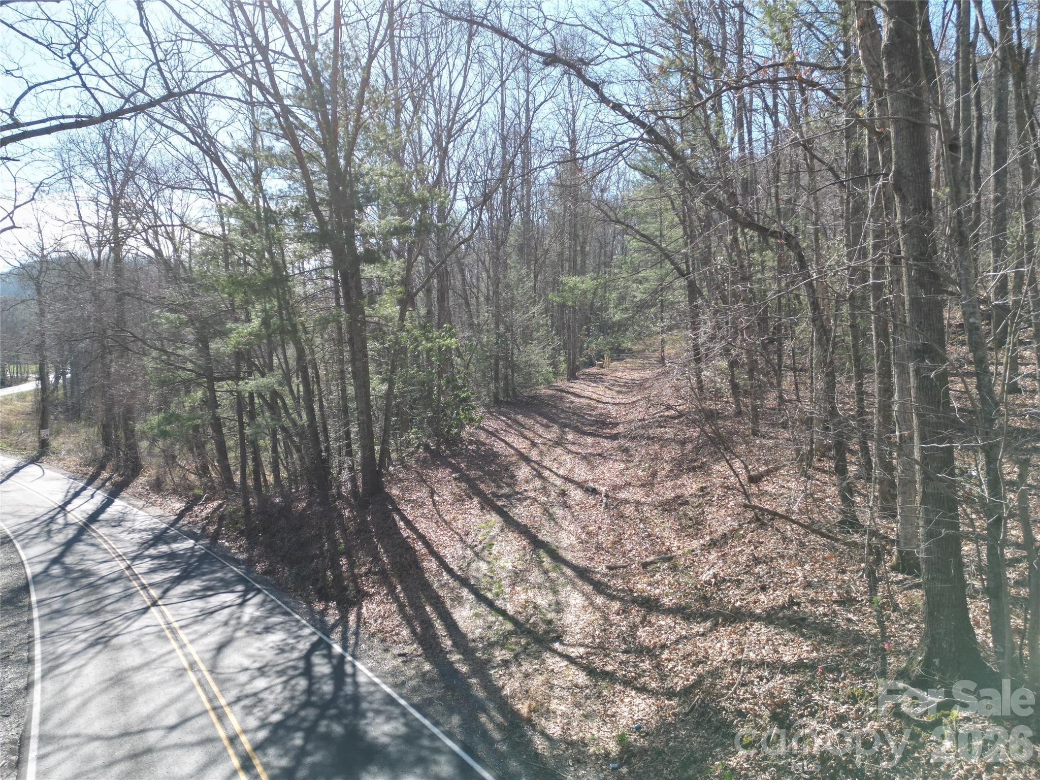 49 Reeds Creek Road Fairview NC 28730