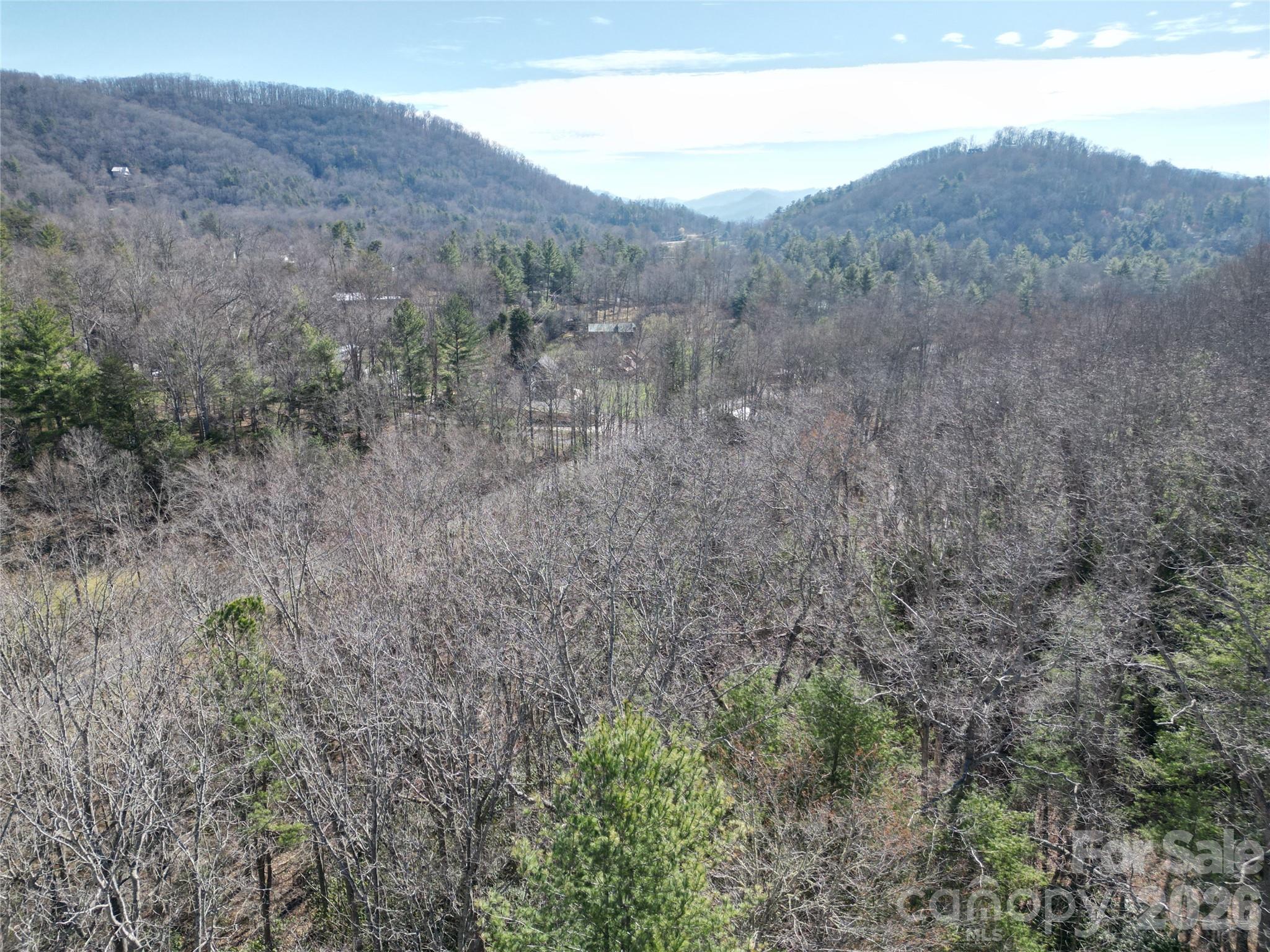 49 Reeds Creek Road Fairview NC 28730