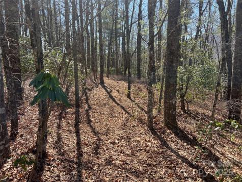 Tbd Panther Ridge Road Lake Toxaway NC 28747