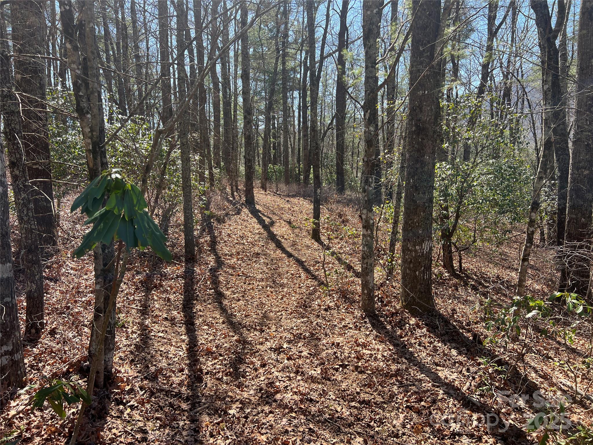 Tbd Panther Ridge Road Lake Toxaway NC 28747