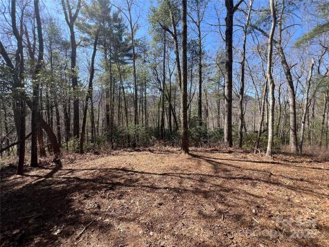 Tbd Panther Ridge Road Lake Toxaway NC 28747
