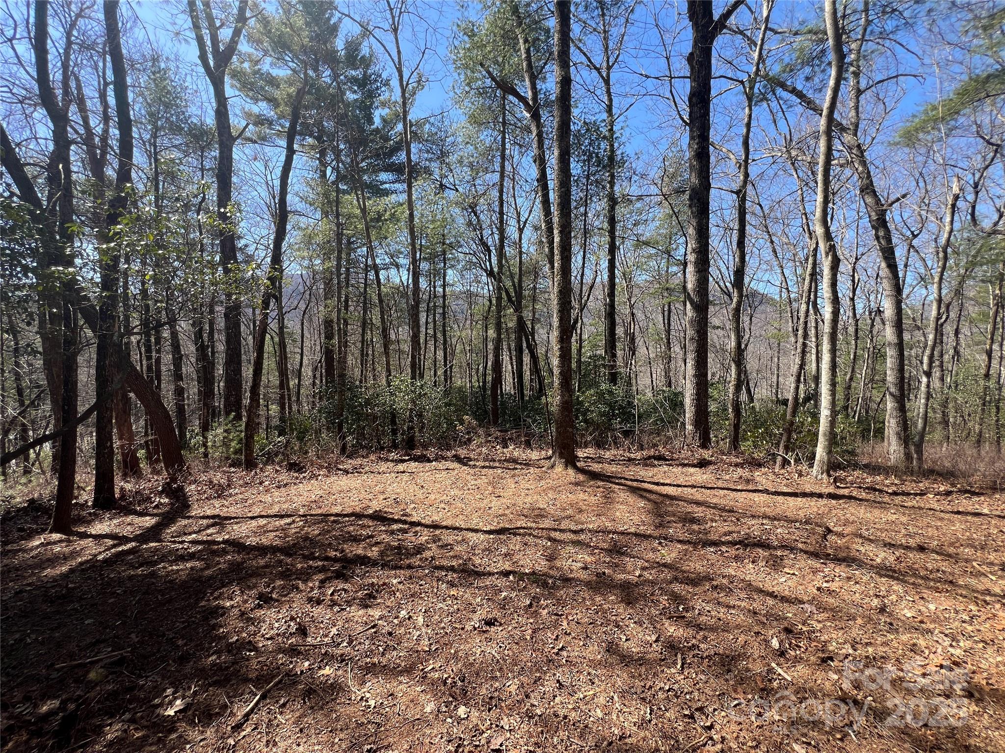 Tbd Panther Ridge Road Lake Toxaway NC 28747
