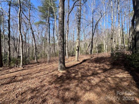Tbd Panther Ridge Road Lake Toxaway NC 28747
