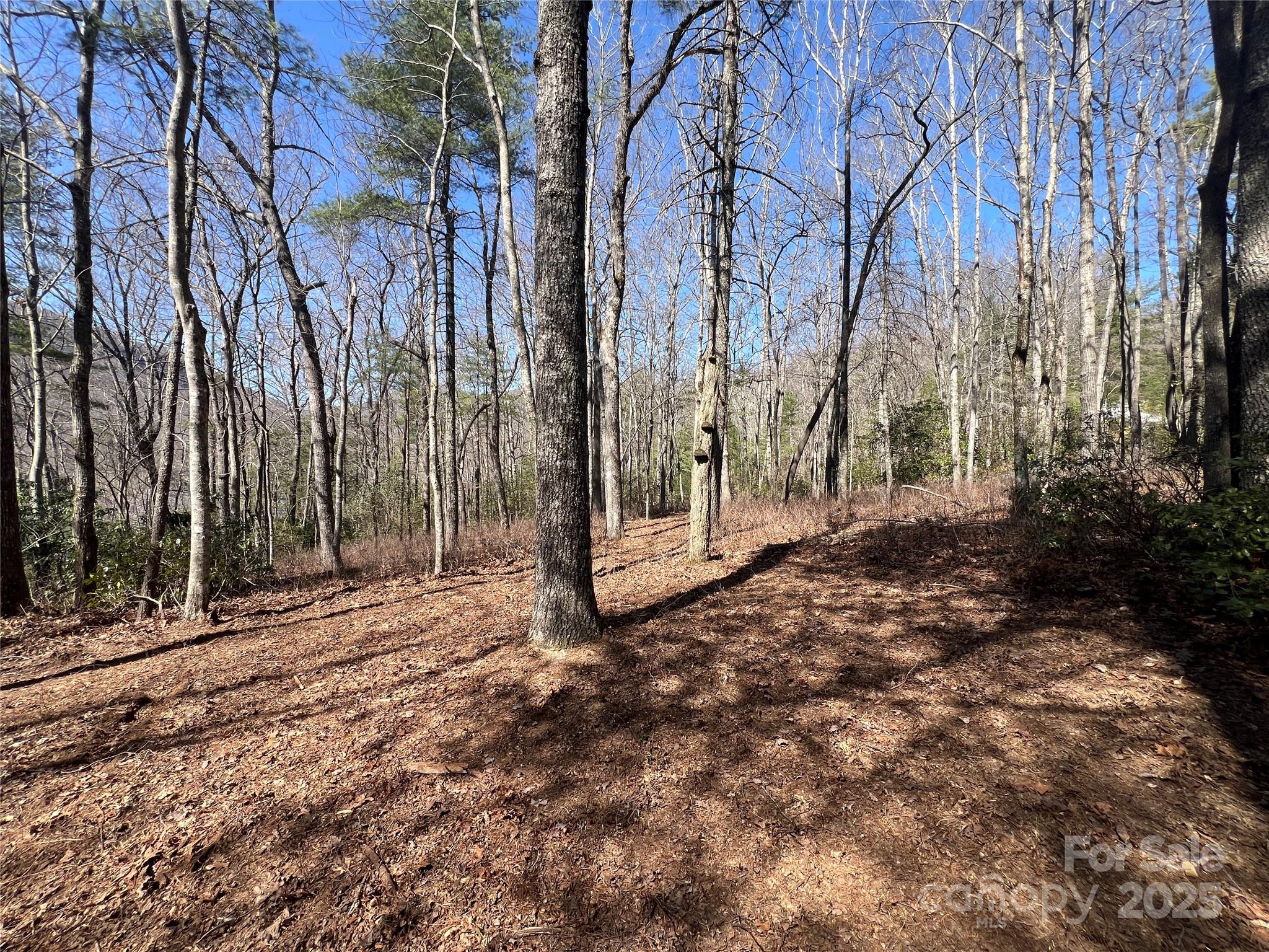 Tbd Panther Ridge Road Lake Toxaway NC 28747