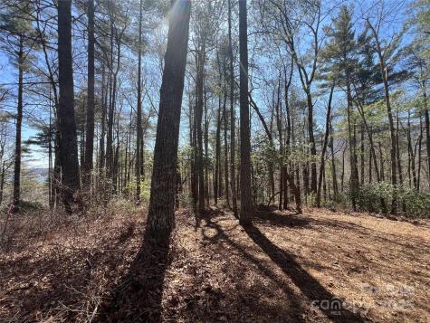 Tbd Panther Ridge Road Lake Toxaway NC 28747