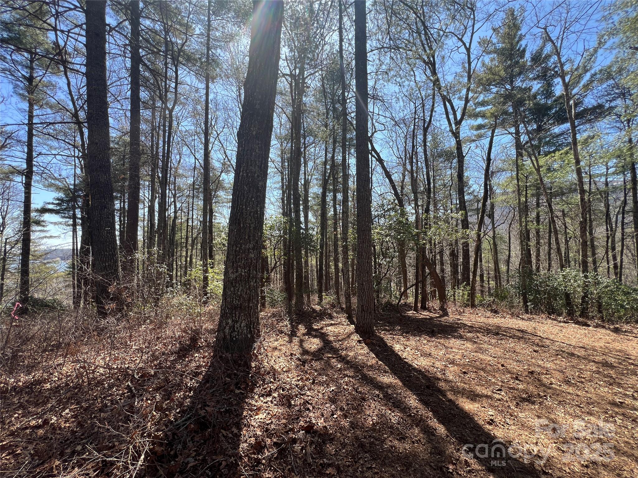 Tbd Panther Ridge Road Lake Toxaway NC 28747