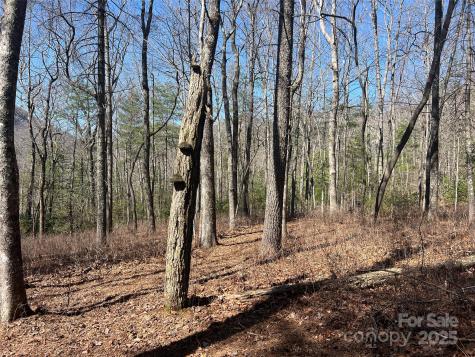 Tbd Panther Ridge Road Lake Toxaway NC 28747