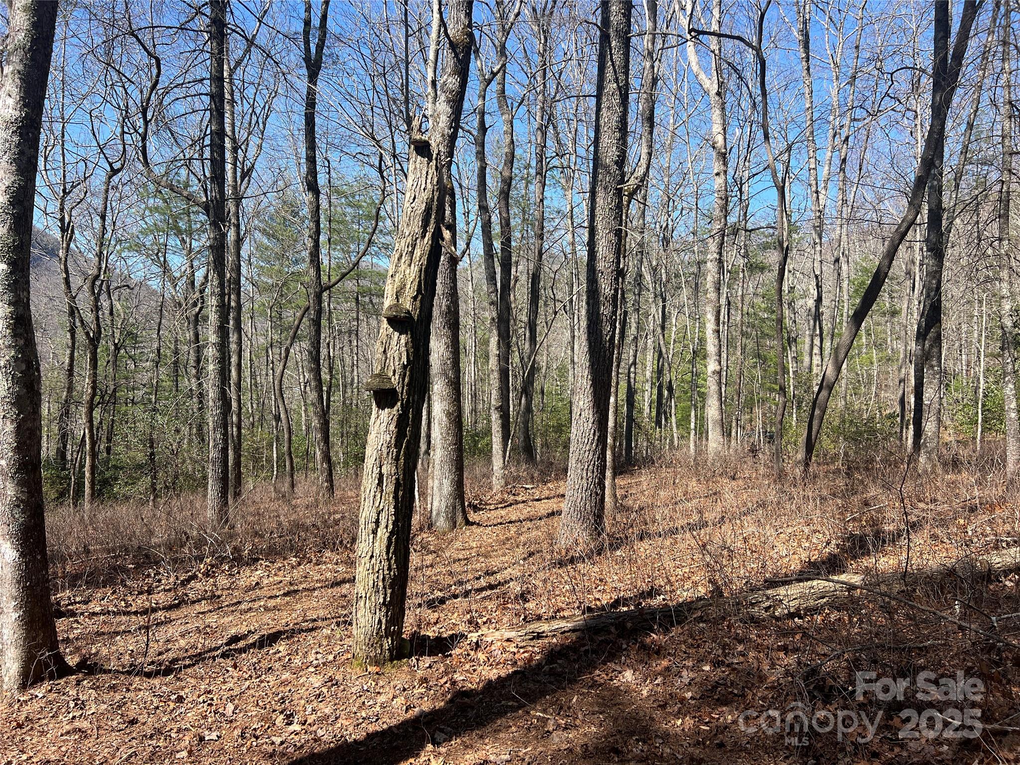 Tbd Panther Ridge Road Lake Toxaway NC 28747