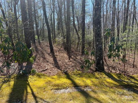 Tbd Panther Ridge Road Lake Toxaway NC 28747