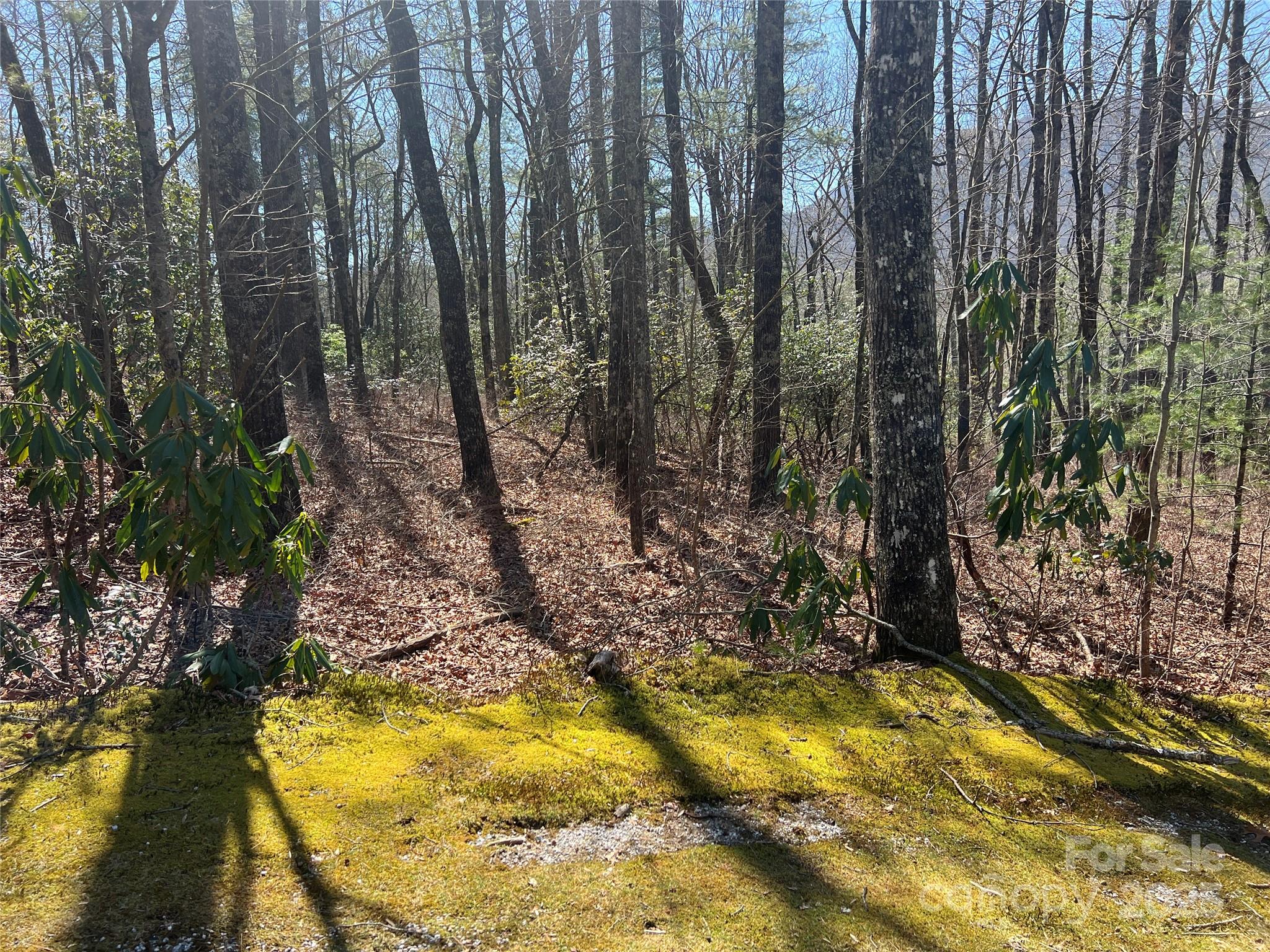 Tbd Panther Ridge Road Lake Toxaway NC 28747