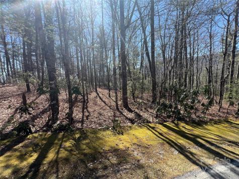 Tbd Panther Ridge Road Lake Toxaway NC 28747