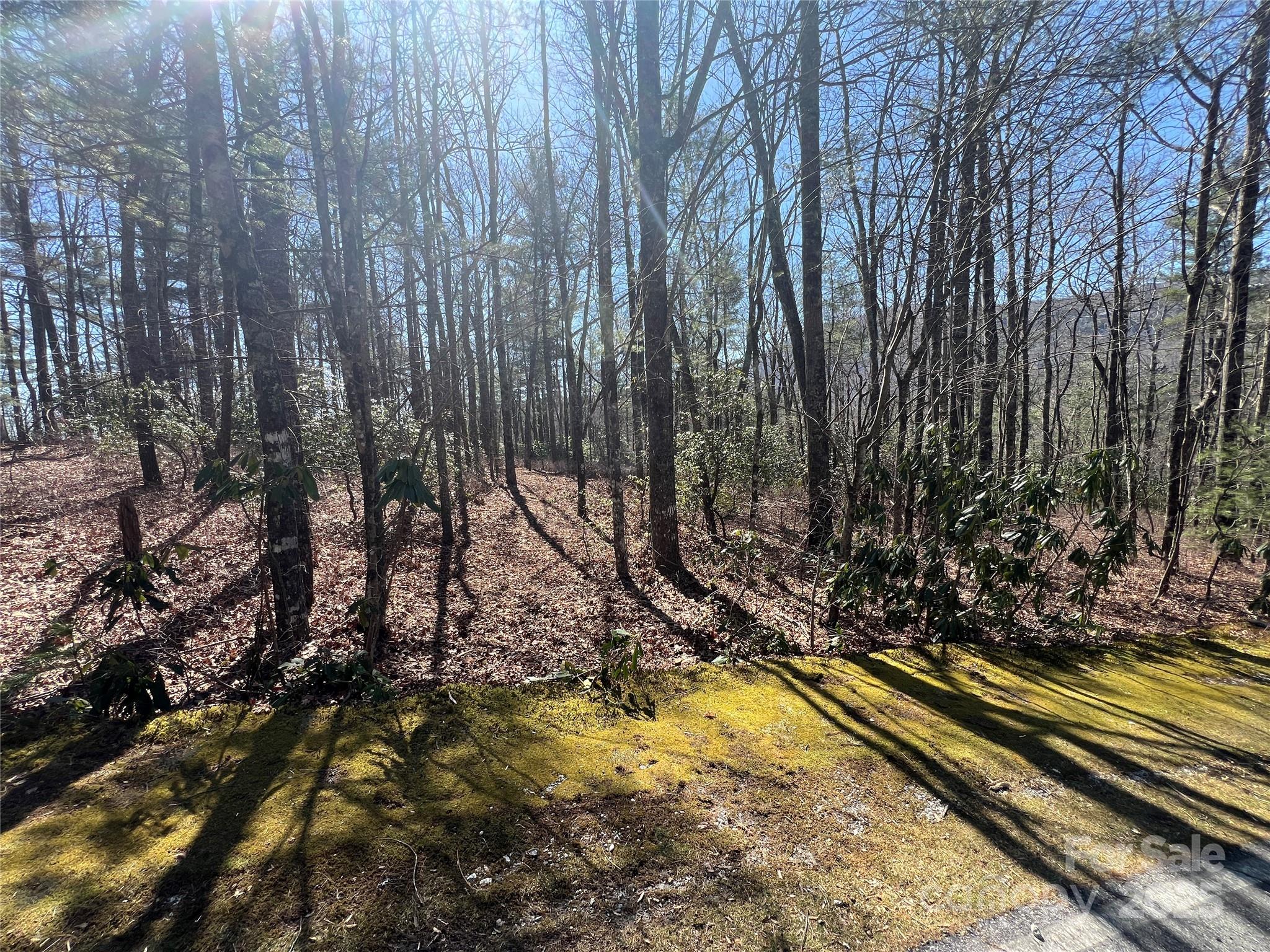 Tbd Panther Ridge Road Lake Toxaway NC 28747