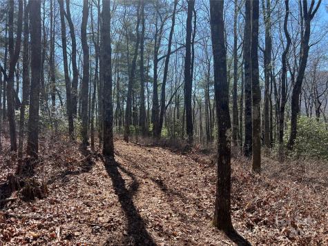 Tbd Panther Ridge Road Lake Toxaway NC 28747