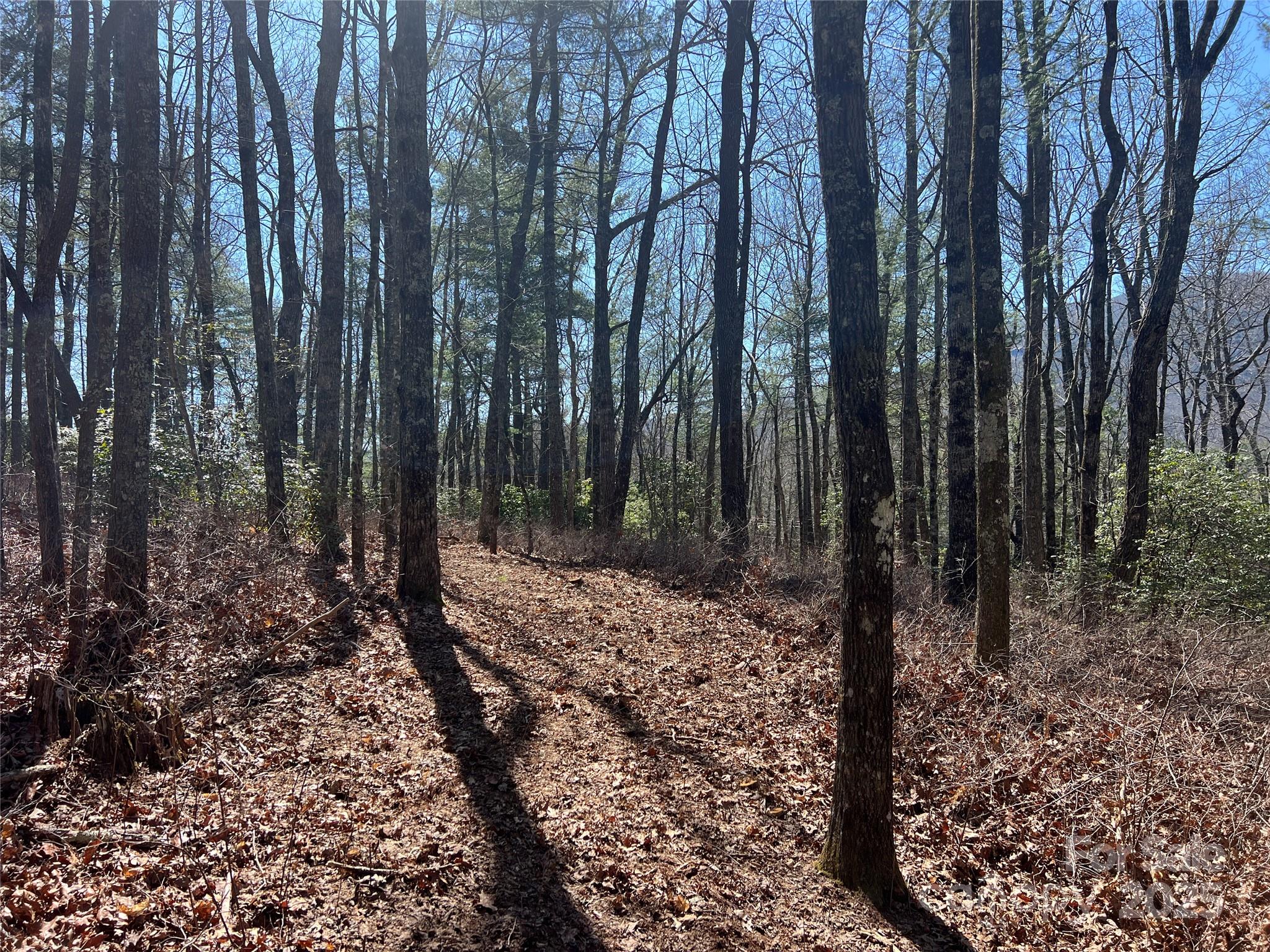 Tbd Panther Ridge Road Lake Toxaway NC 28747