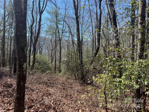 Tbd Panther Ridge Road Lake Toxaway NC 28747