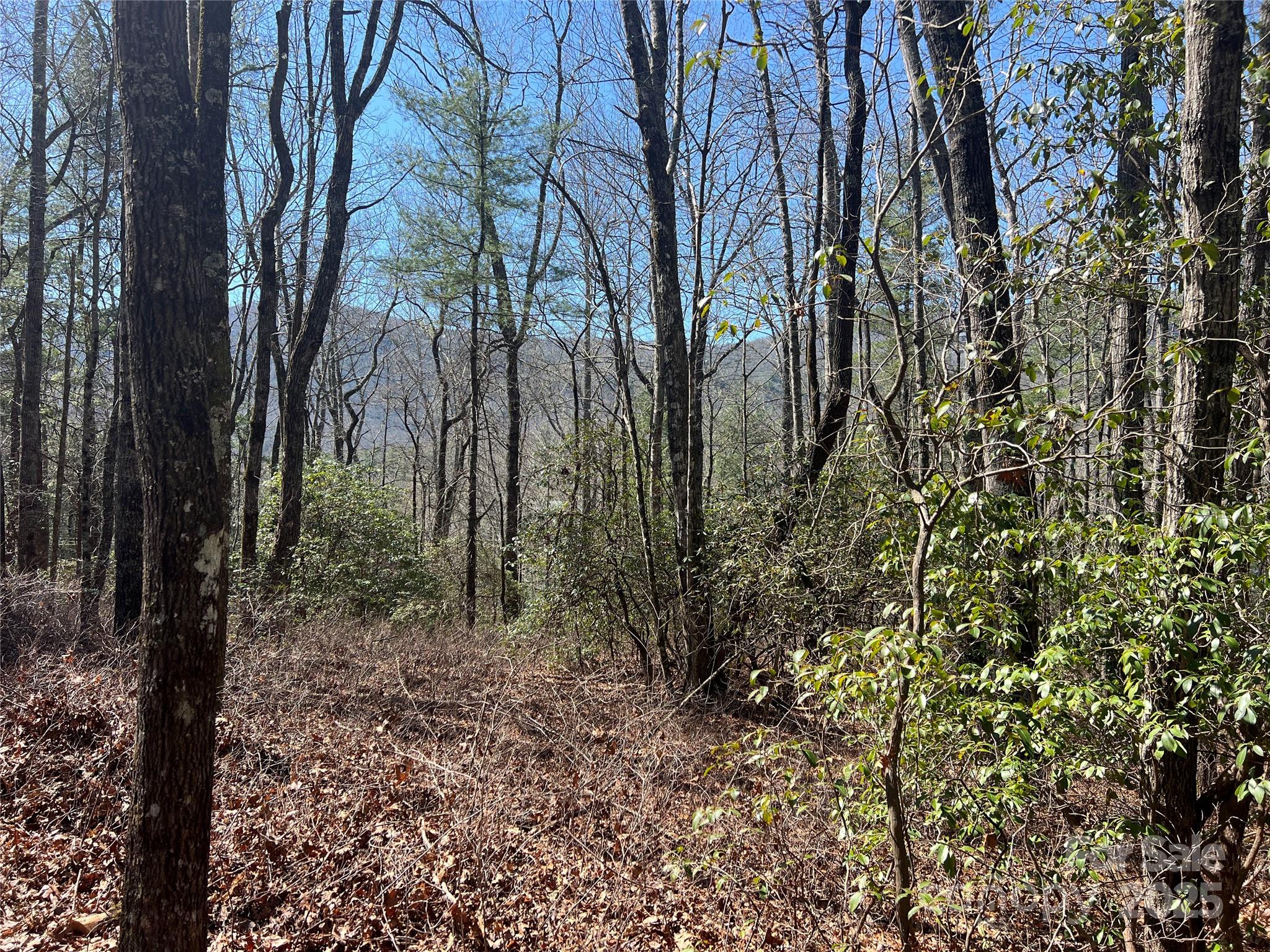 Tbd Panther Ridge Road Lake Toxaway NC 28747