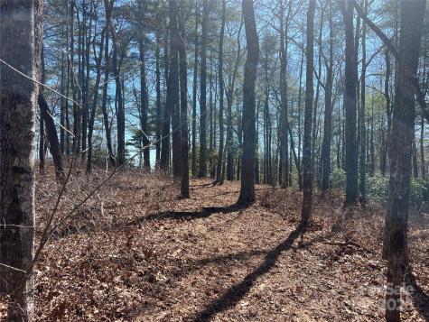 Tbd Panther Ridge Road Lake Toxaway NC 28747