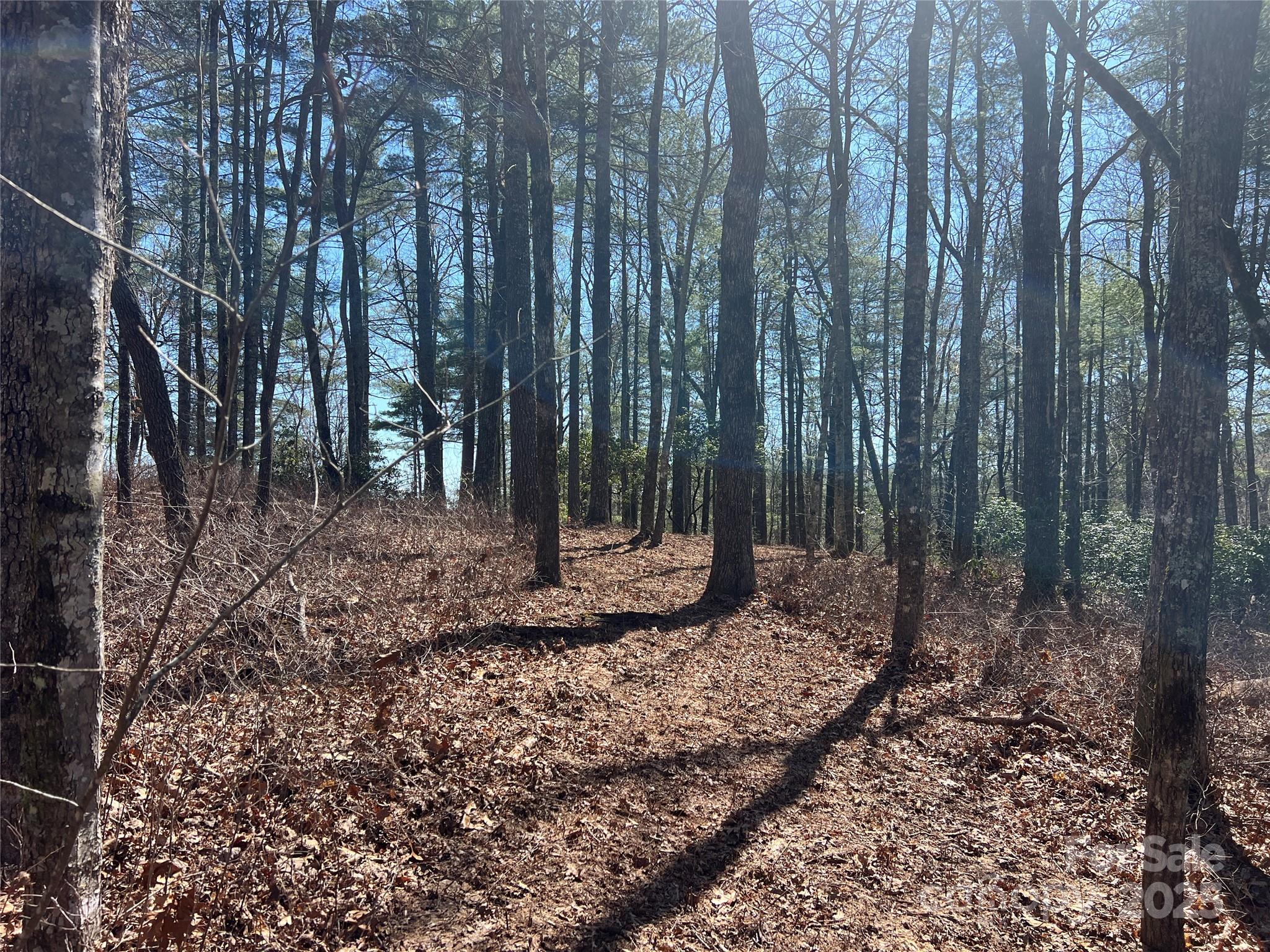 Tbd Panther Ridge Road Lake Toxaway NC 28747