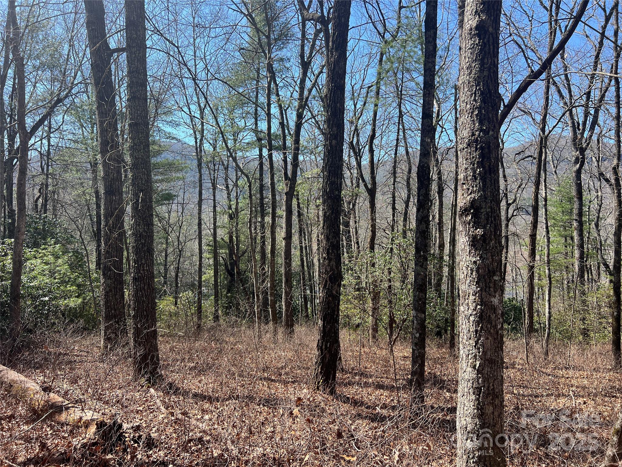 Tbd Panther Ridge Road Lake Toxaway NC 28747
