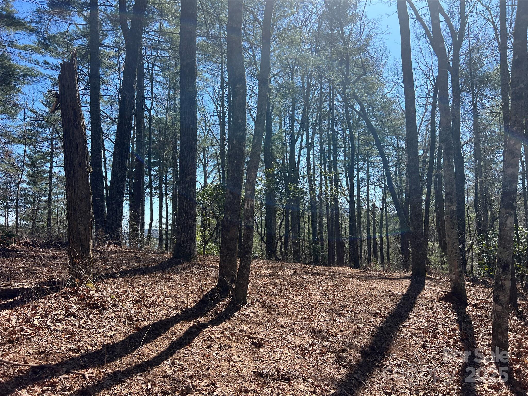 Tbd Panther Ridge Road Lake Toxaway NC 28747