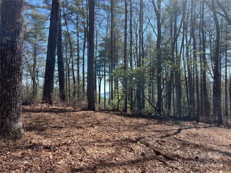 Tbd Panther Ridge Road Lake Toxaway NC 28747