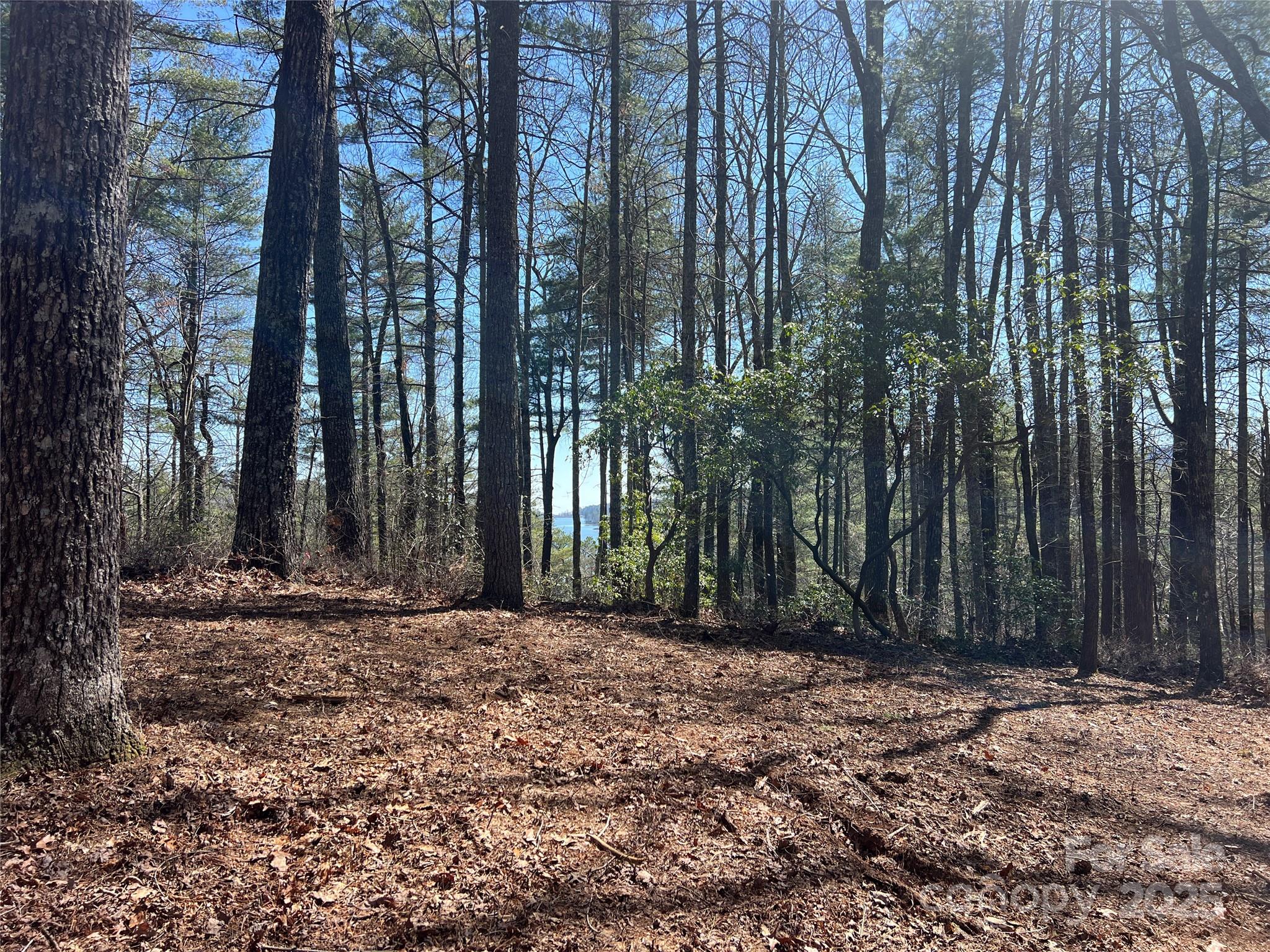 Tbd Panther Ridge Road Lake Toxaway NC 28747