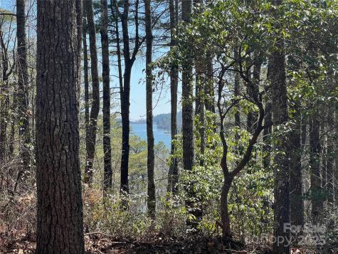 Tbd Panther Ridge Road Lake Toxaway NC 28747
