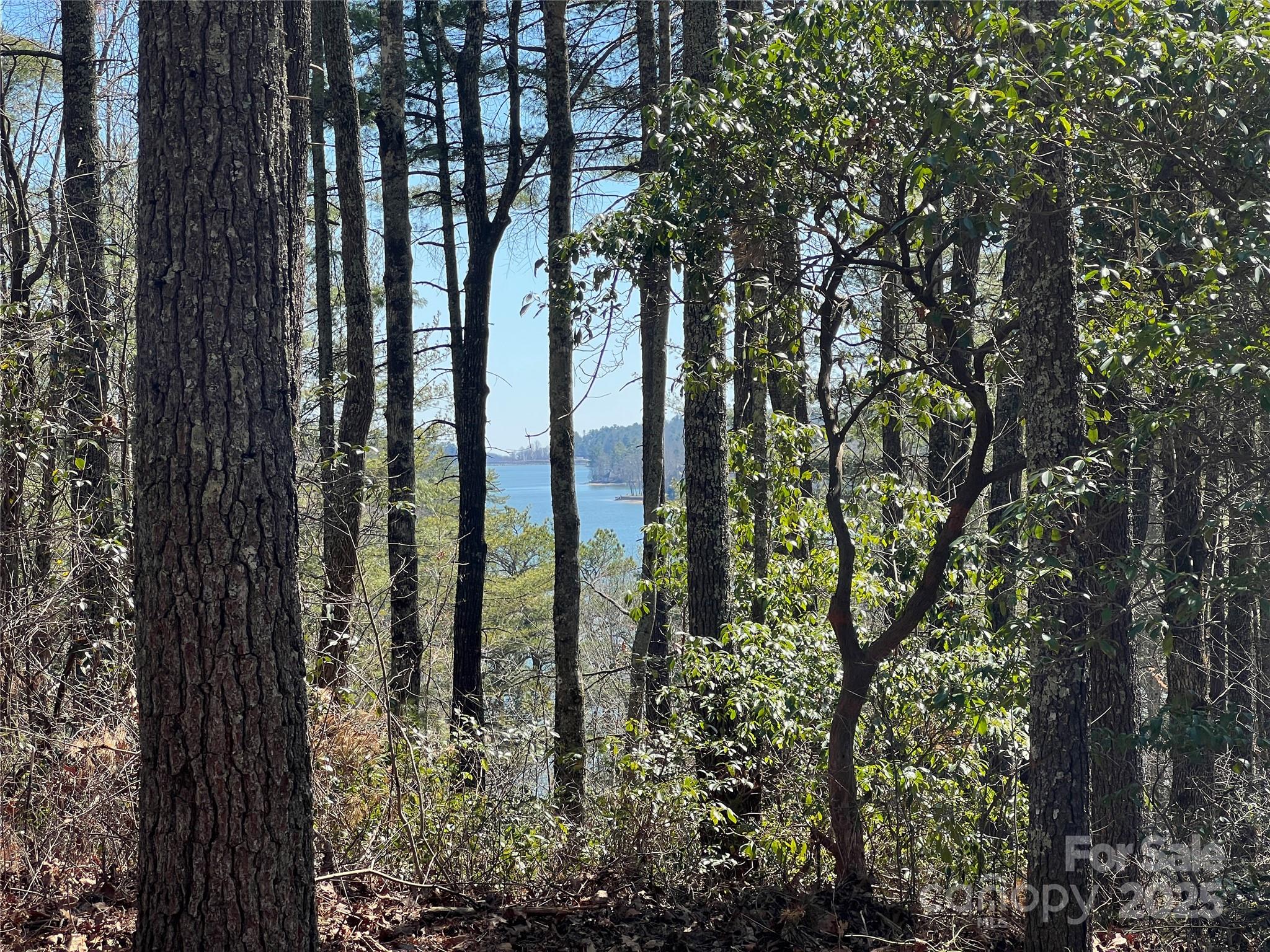 Tbd Panther Ridge Road Lake Toxaway NC 28747