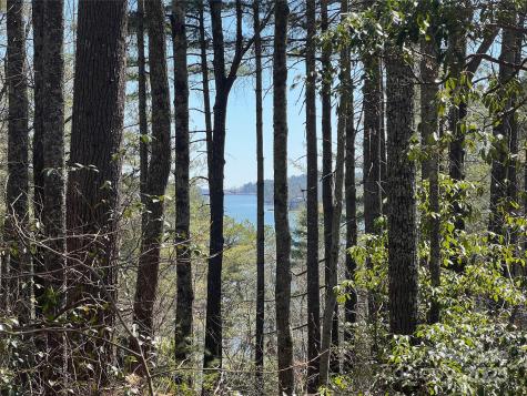 Tbd Panther Ridge Road Lake Toxaway NC 28747