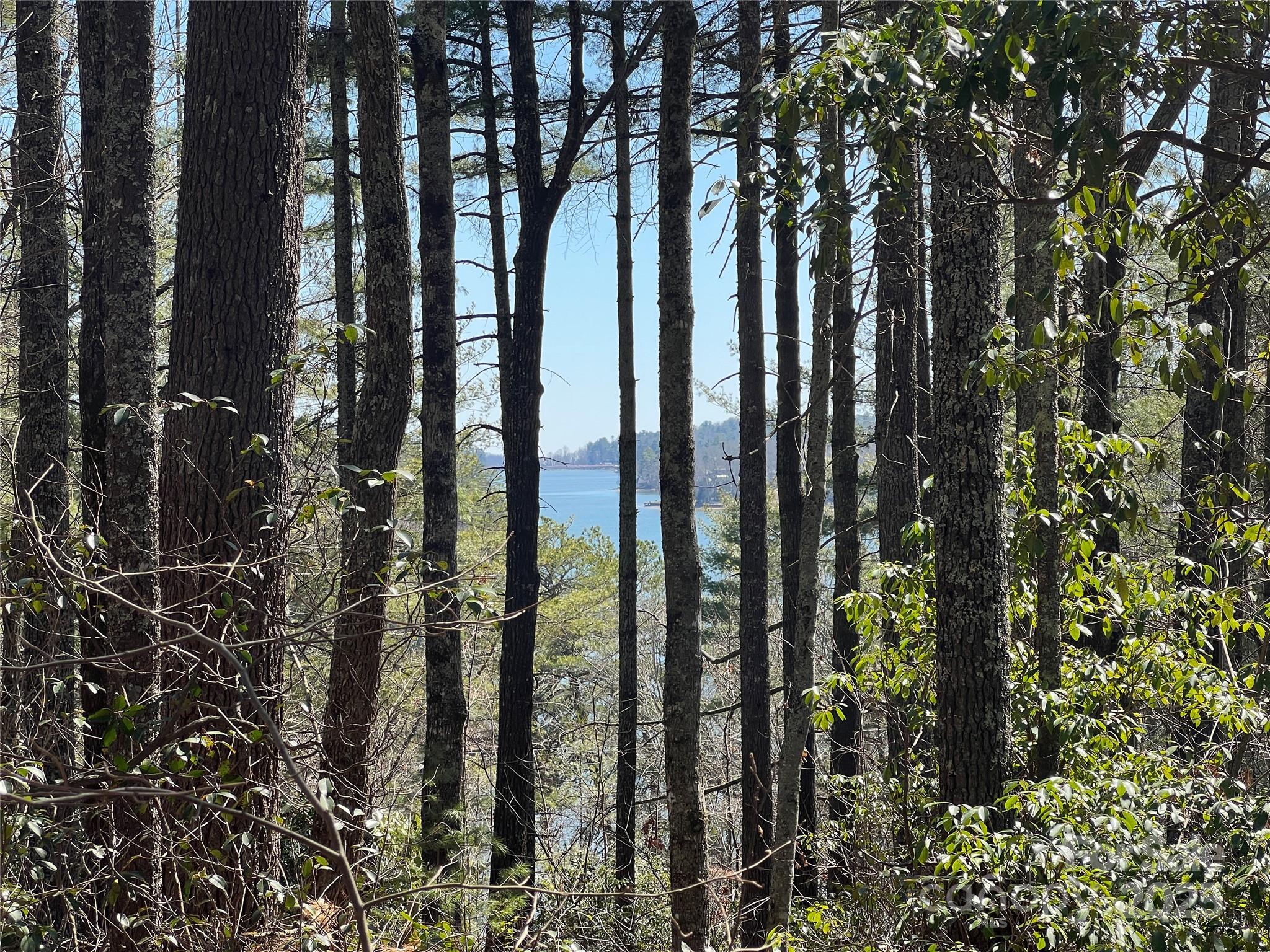 Tbd Panther Ridge Road Lake Toxaway NC 28747
