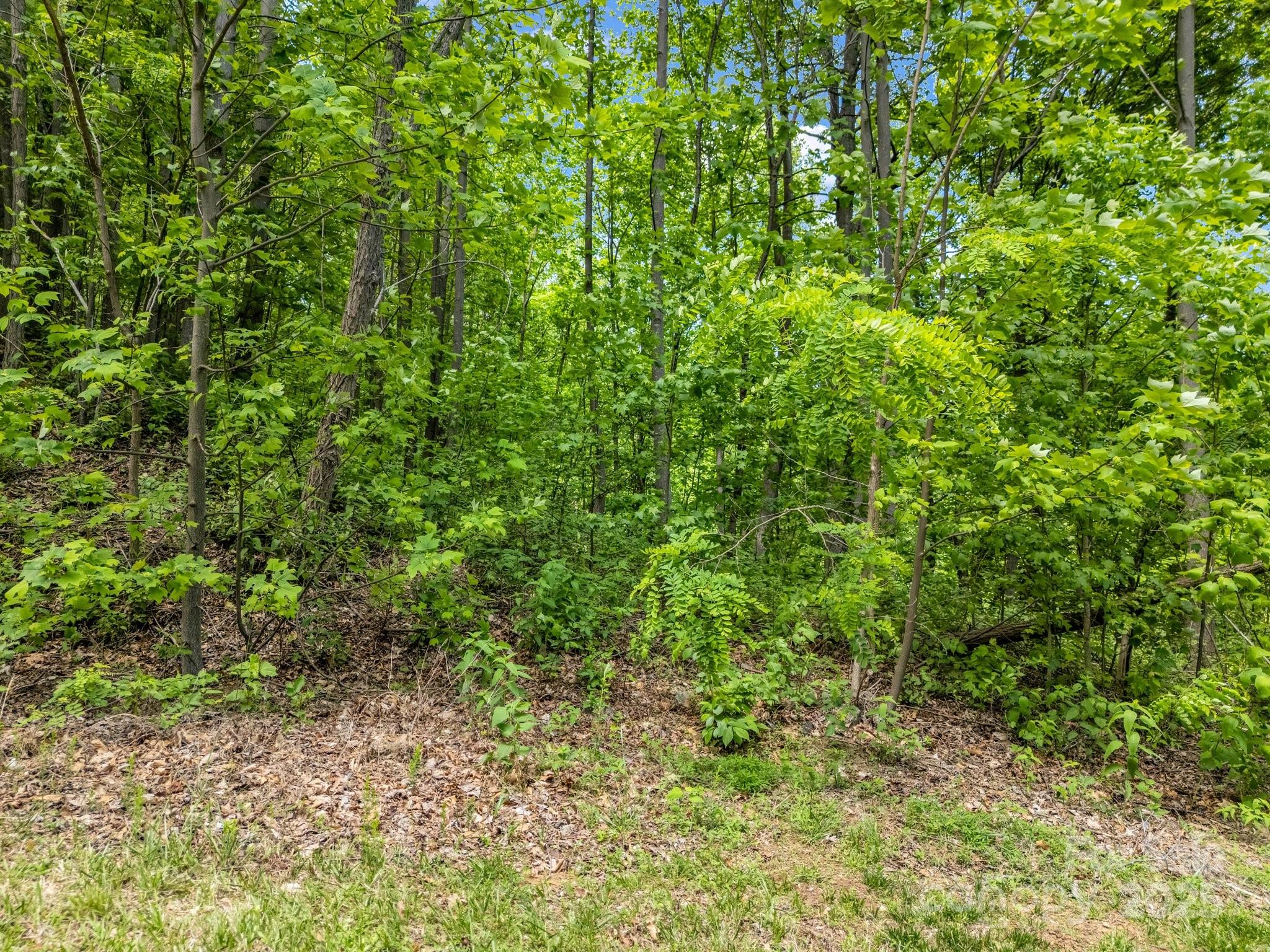 0 Ragans Pointe Columbus NC 28722