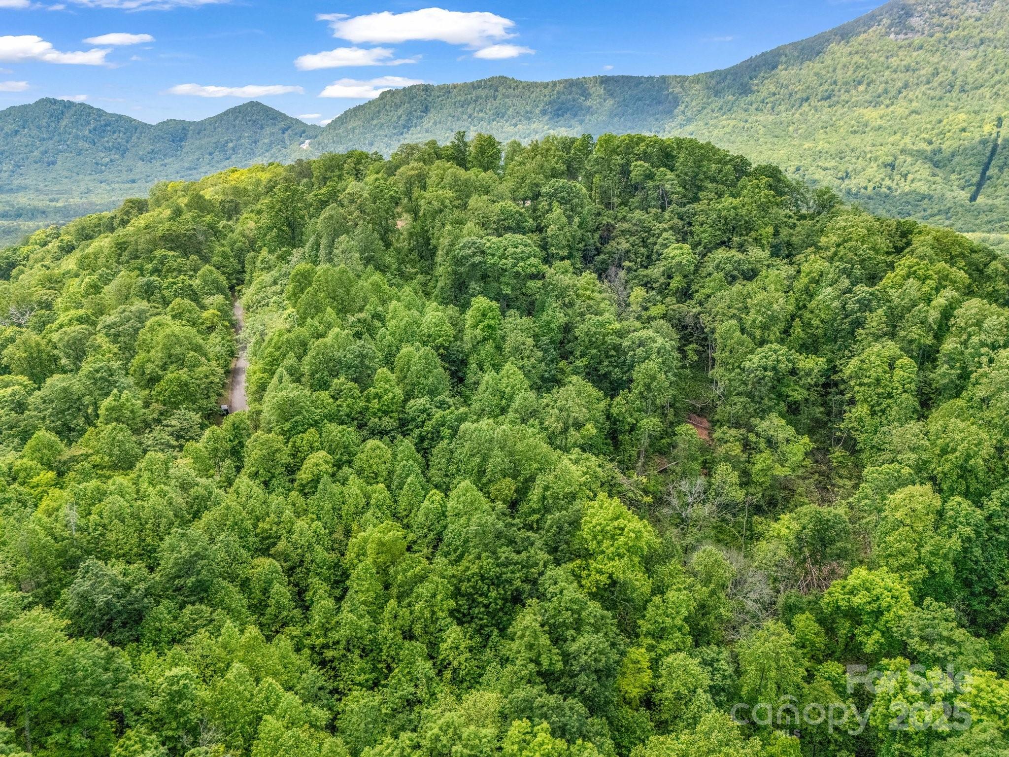 0 Ragans Pointe Columbus NC 28722