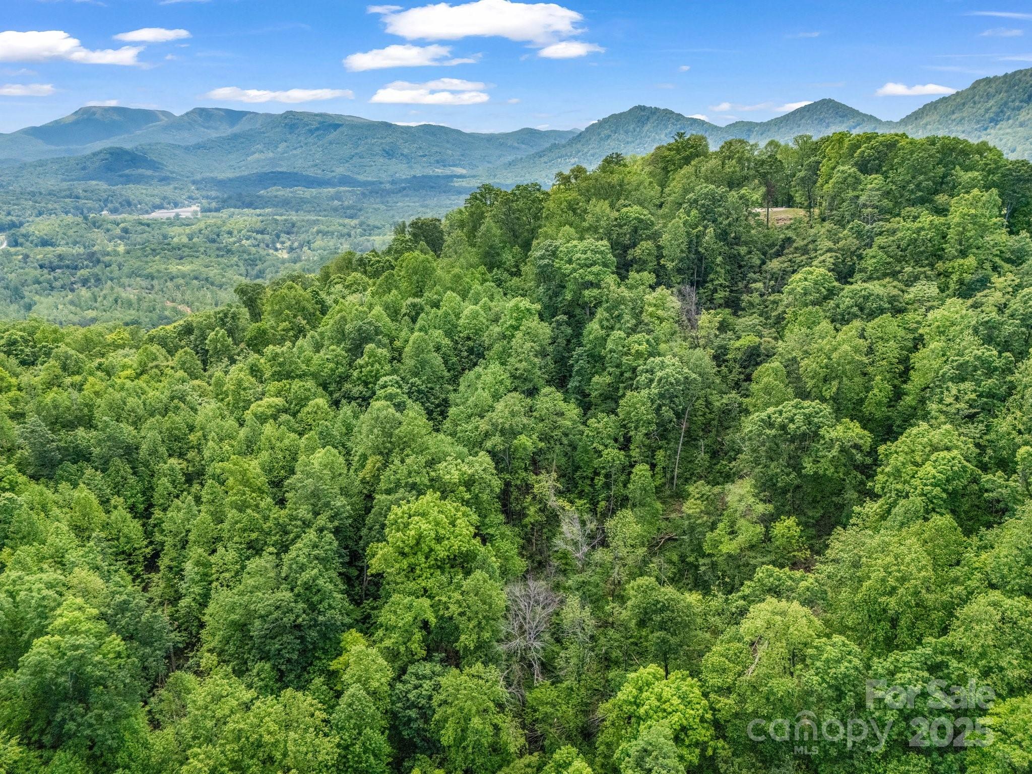 0 Ragans Pointe Columbus NC 28722