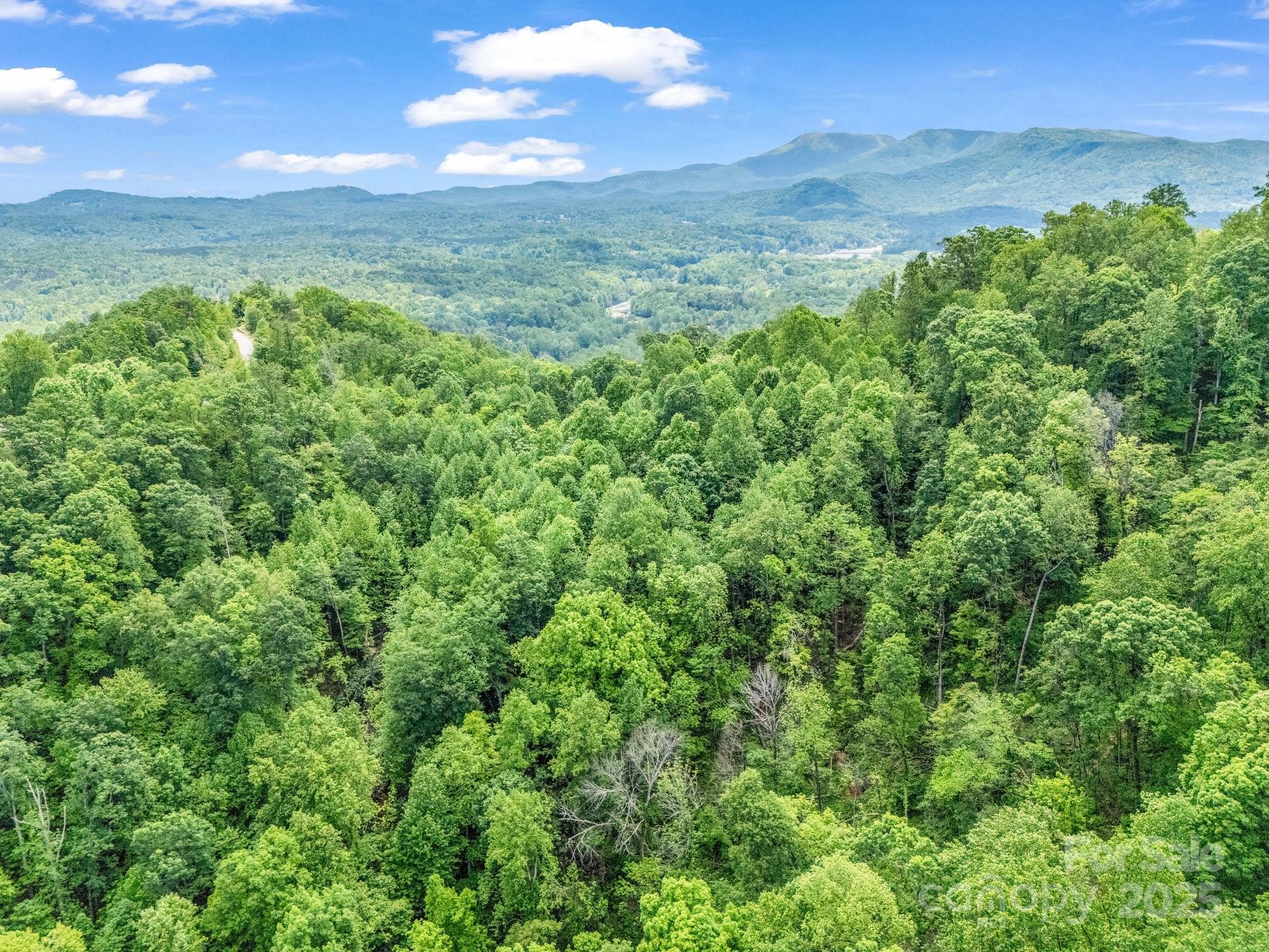 0 Ragans Pointe Columbus NC 28722