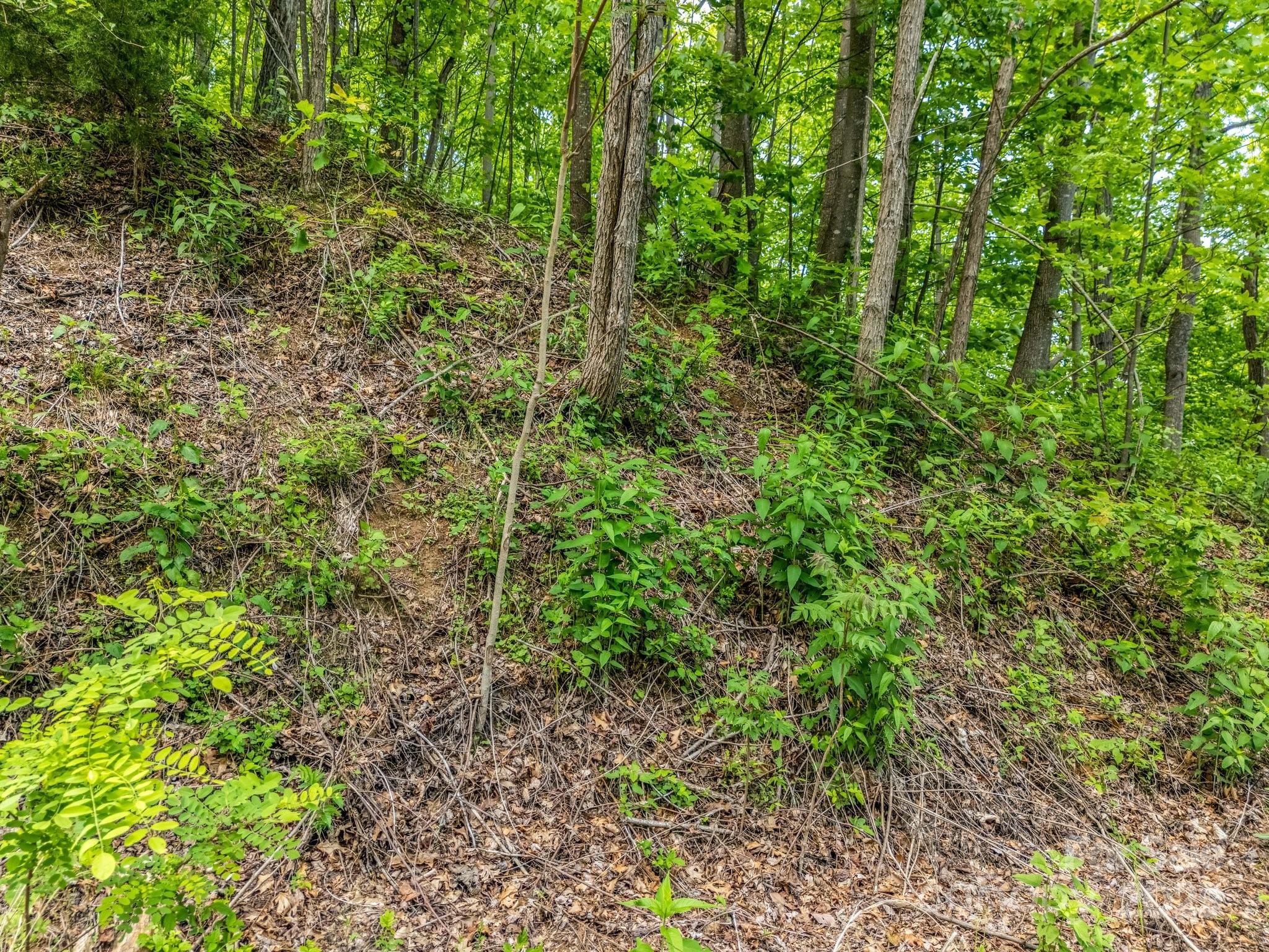 0 Ragans Pointe Columbus NC 28722