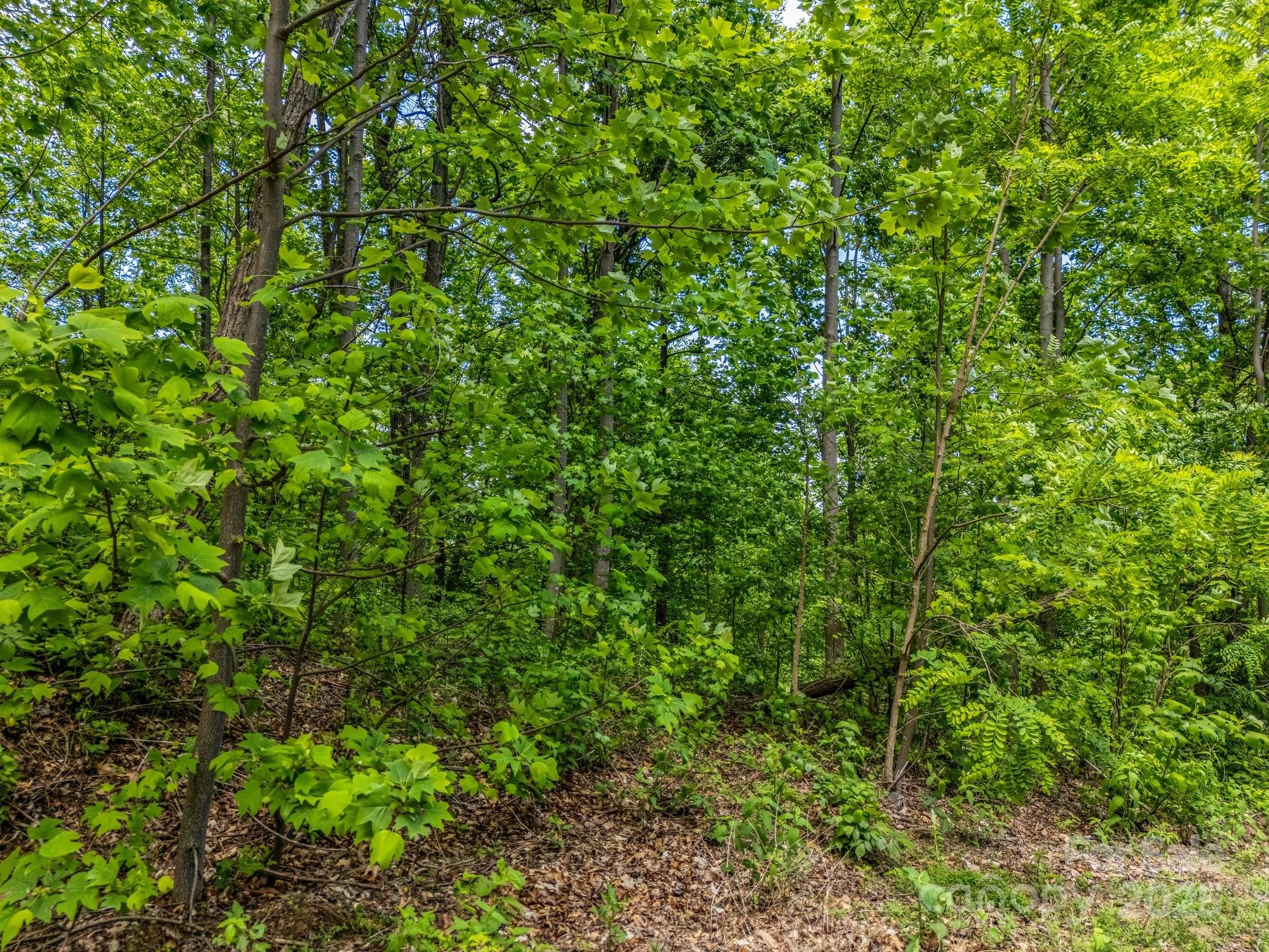 0 Ragans Pointe Columbus NC 28722