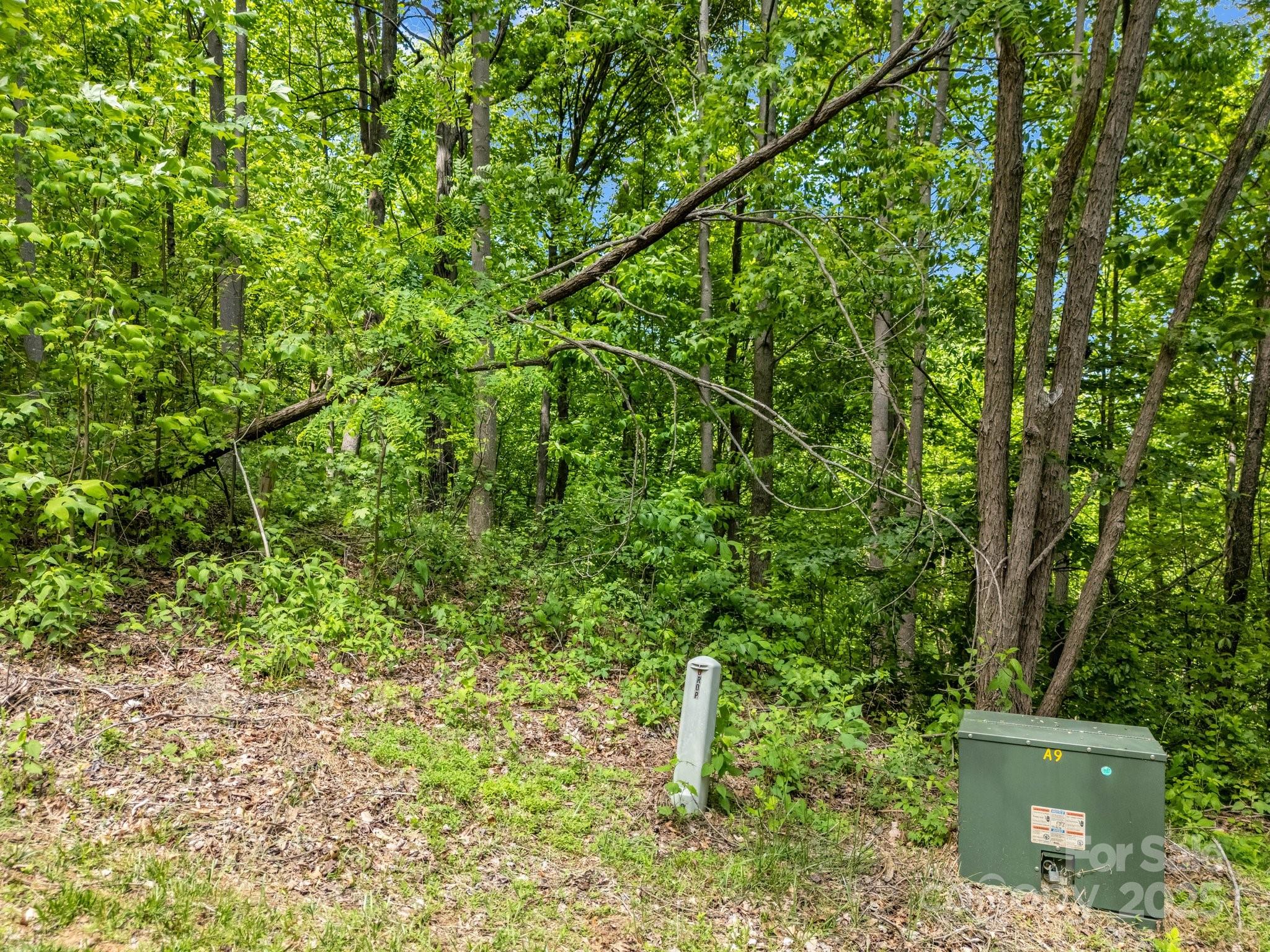 0 Ragans Pointe Columbus NC 28722