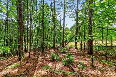 99999 Wright Road Marion NC 28752