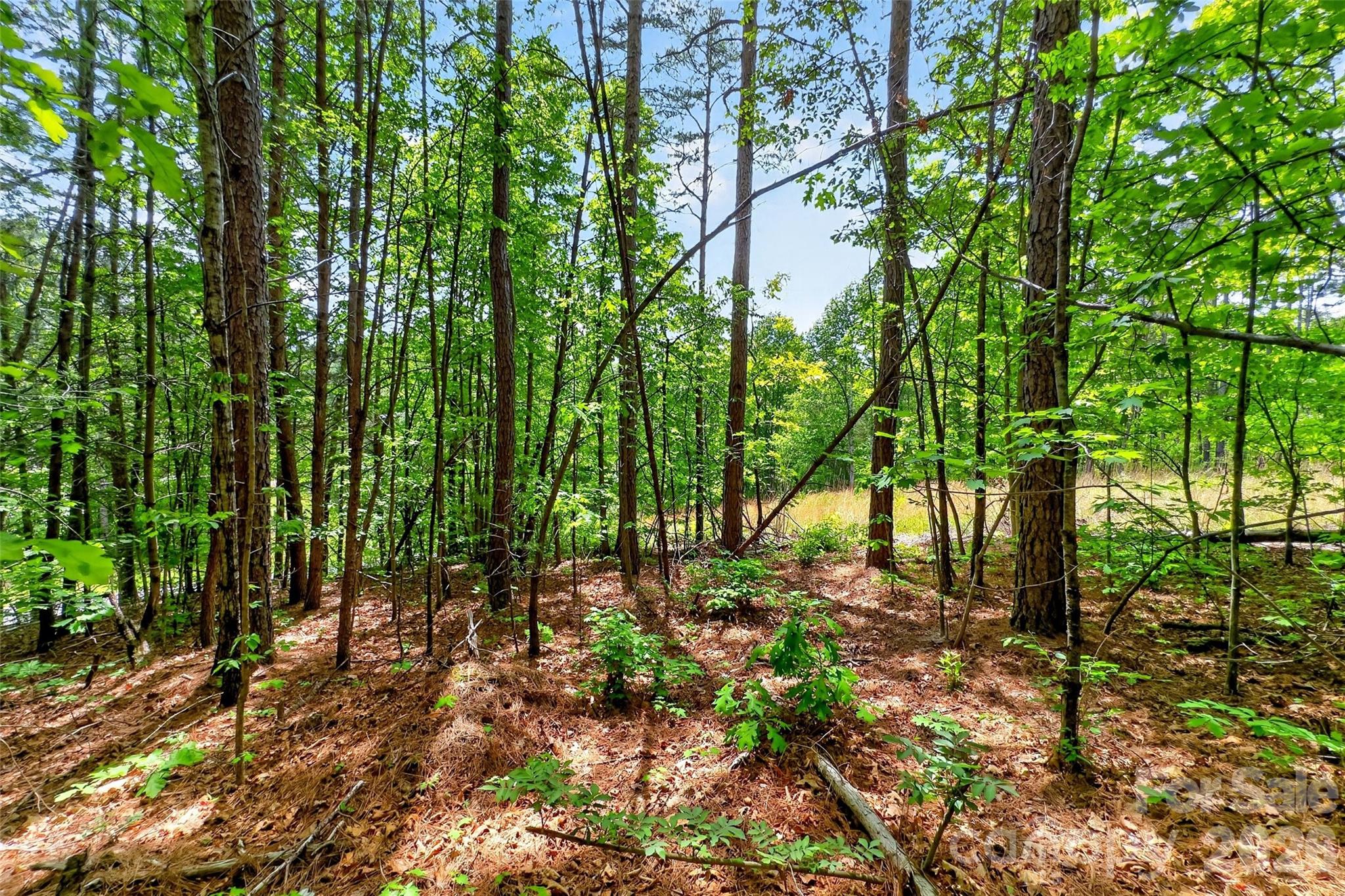 99999 Wright Road Marion NC 28752