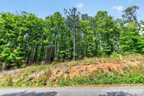 99999 Wright Road Marion NC 28752